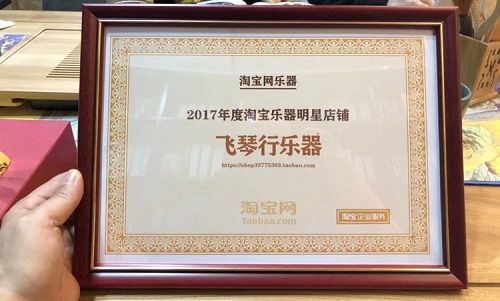 淘宝乐器2018年商家大会在杭顺利召开,常州飞琴行乐器荣获行业年度明星店铺奖